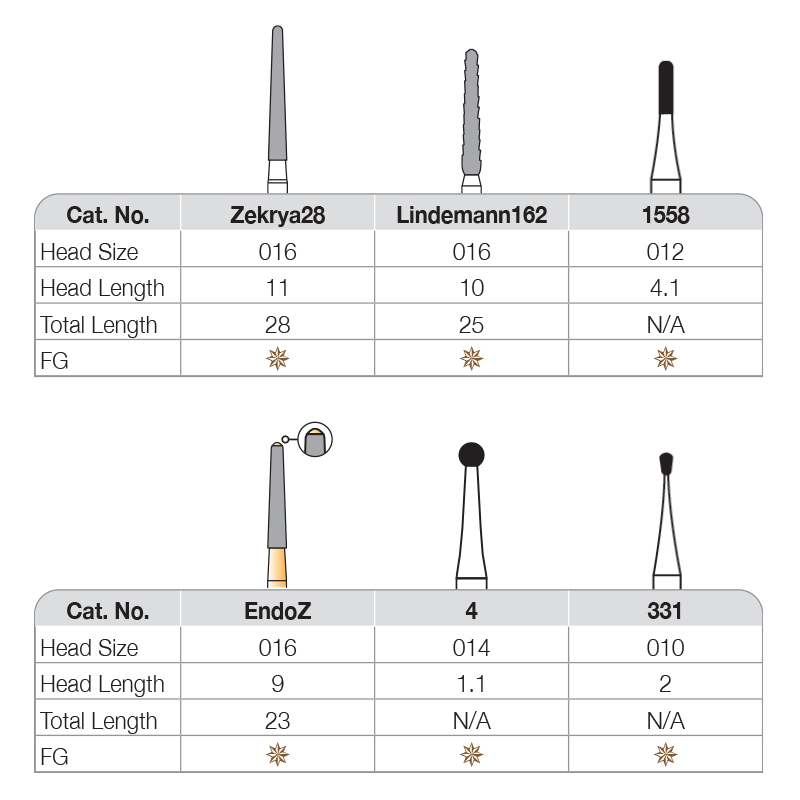 Carbide Bur - Intro Kit