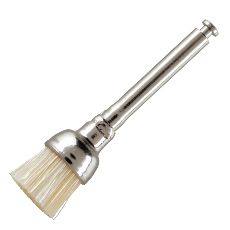 Prophy Brushes  **BUY 5 GET 1 FREE**