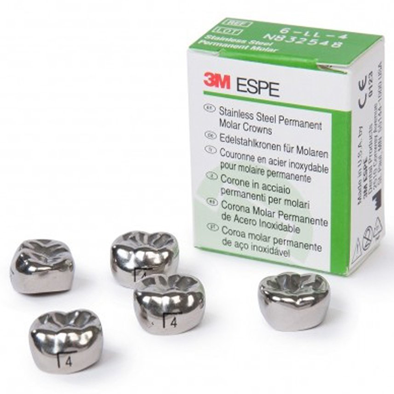Molar Crowns - Permanent - Stainless Steel