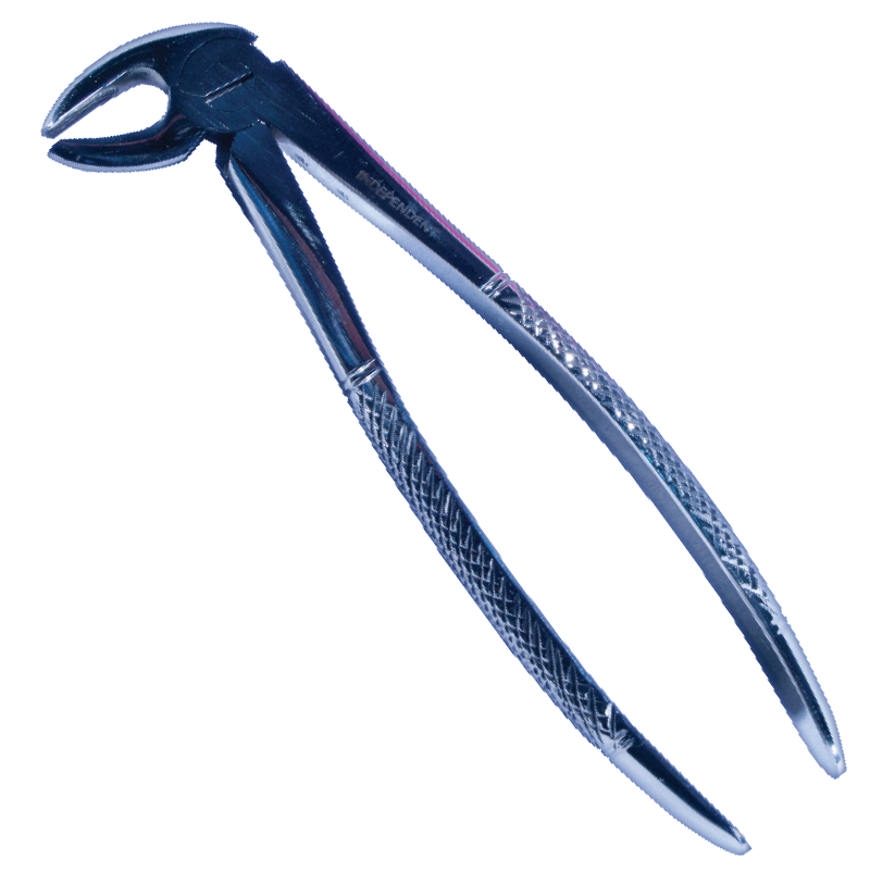 Forceps - #13 Lower Bicuspids