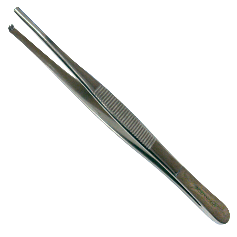 Rat Tooth Tissue Forceps